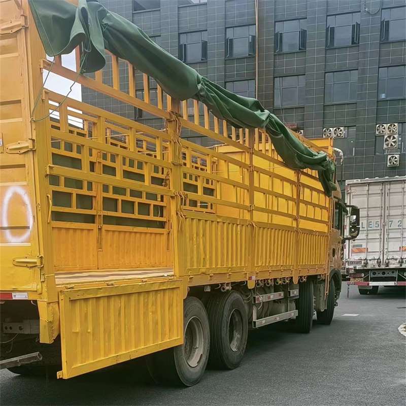 龙马潭区灵璧县物流运输：多元服务与高效线路探秘