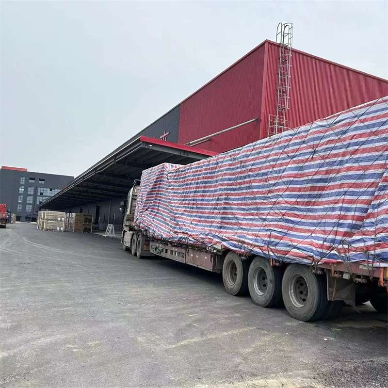 龙马潭区渝中区物流：多元服务与运输线路探秘