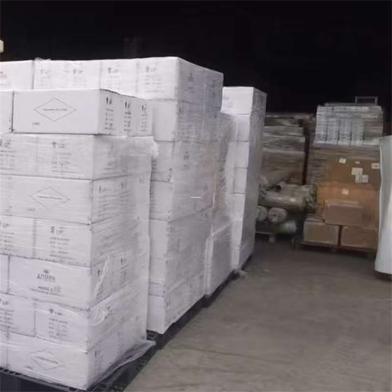 龙马潭区重庆物流专线：多元货运服务与运输线路探秘